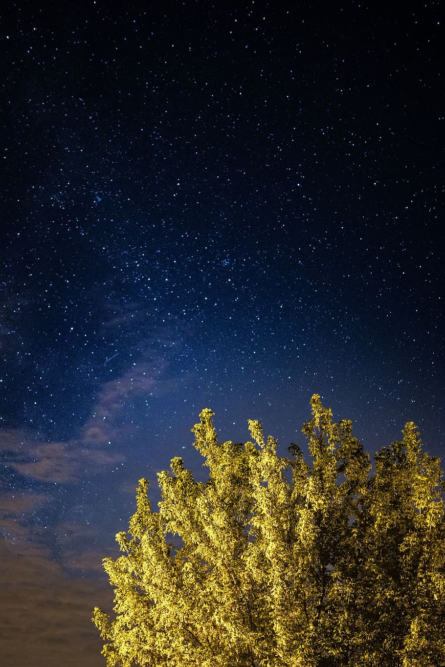 árvores, céu estrelado, natureza, céu, ao ar livre, noite, estrelas, estrelado, noturno, astronomia