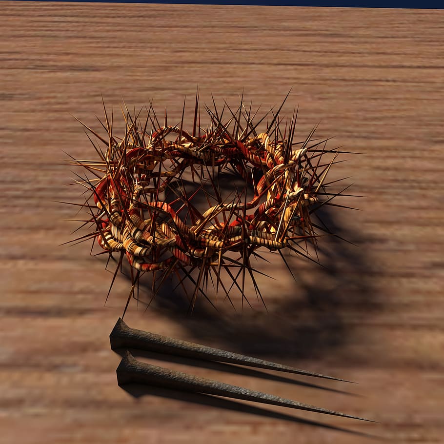 nail, crown of thorns, wood, jesus, christianity, crucifixion, close-up, insect, animal, animals in the wild