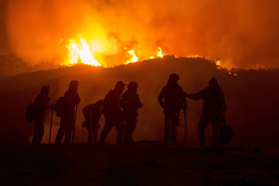 forest fire, wildfire, blaze, silhouettes, firefighters, smoke, trees, heat, burning, hot