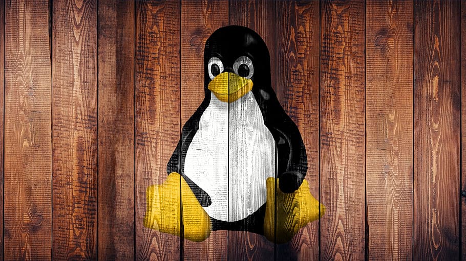 linux, laptop, screen, wallpaper, wood, penguin, graffiti, logo, indoors, yellow