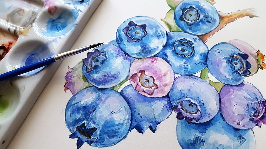 blueberries, fruit, blue, art, painting, brush, watercolor, vodový, a variety of, paper