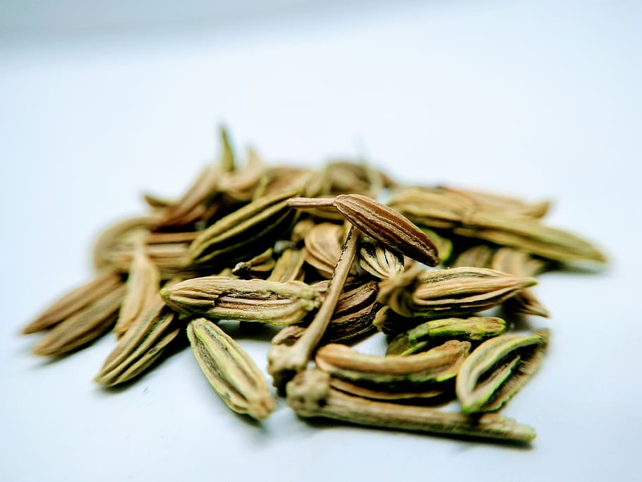 aniseed fennel, spices, food, food and drink, studio shot, freshness, healthy eating, indoors, close-up, wellbeing