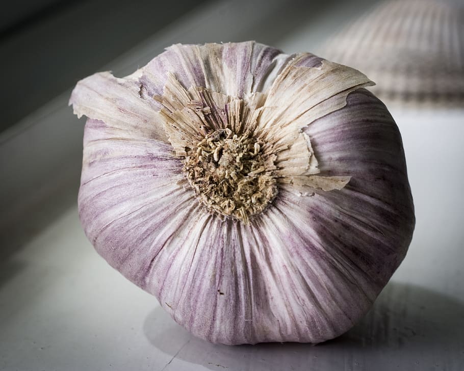 garlic, garlic bulb, food, ingredient, freshness, food and drink, close-up, wellbeing, indoors, vegetable