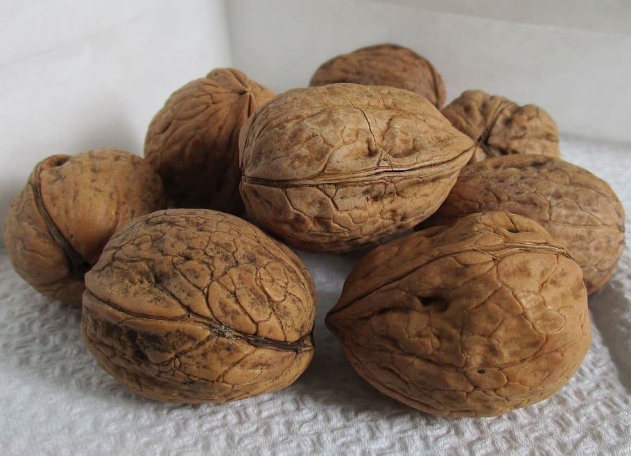walnuts, shell, organic, agriculture, dried fruit, kernel, italy, food, sano, food and drink