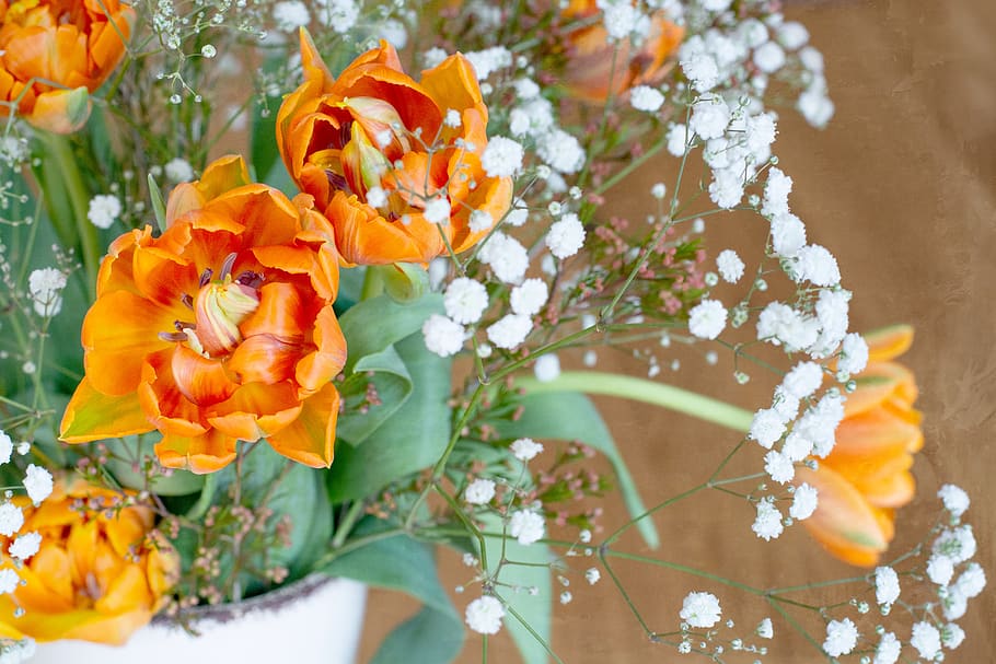 flowers, tulips, bouquet, gypsophila, orange, white, close up, flower photography, spring flowers, cut flowers