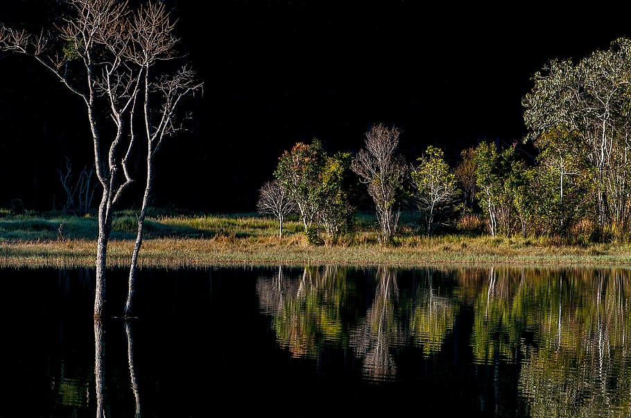 soi ball, symmetry, scenery, reflect, natural, light, lake, reflection, water, tree