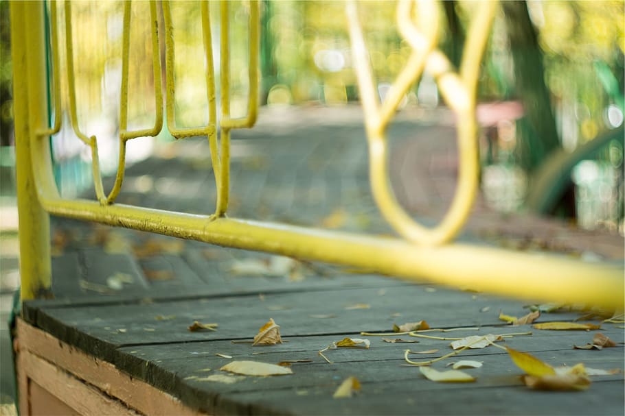 yellow, railing, wood, path, water, nature, day, leaf, wet, plant part