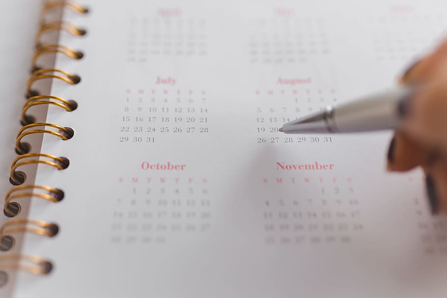 calendario rosa, calendario, cuaderno, diario, nota, escritorio, en el interior, primer plano, parte del cuerpo humano, papel