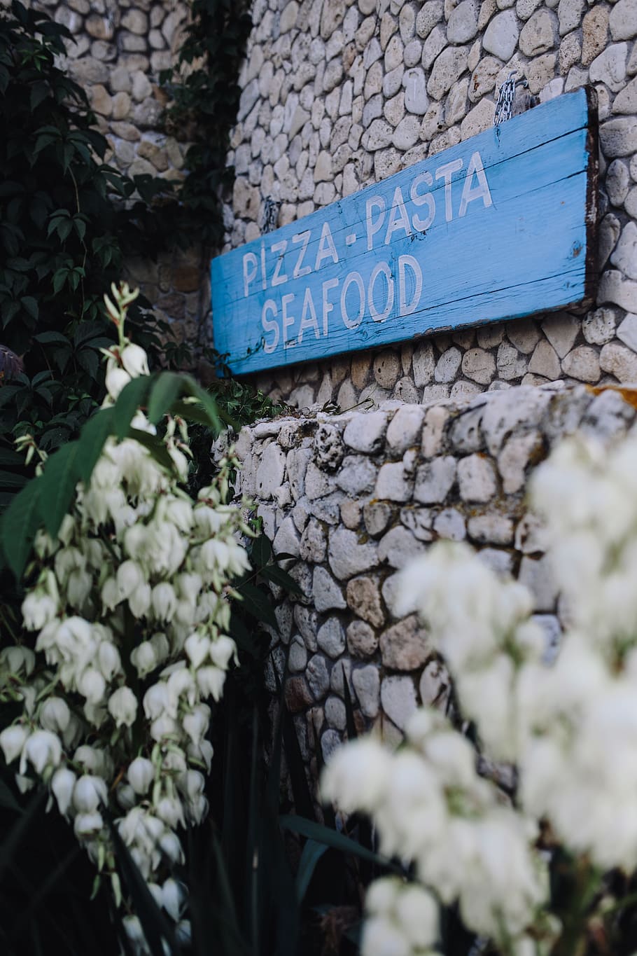 restoran makanan laut, nessebur, bulgaria, makanan, restoran, hidangan, makanan laut, komunikasi, teks, aksara barat