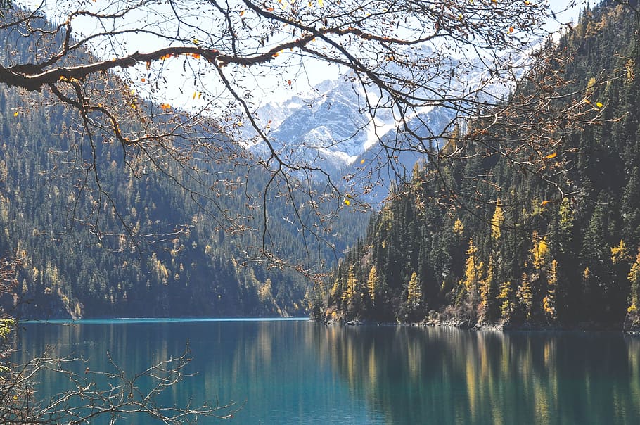 lago, água, montanhas, colinas, árvores, natureza, paisagem, Lago cinco flores, Jiuzhaigou, Sichuan