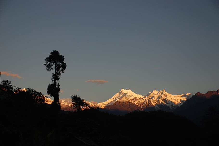 mt, kanchenjunga, view from lingthem, sikkim himalaya, mountain, beauty in nature, tree, sky, tranquility, plant
