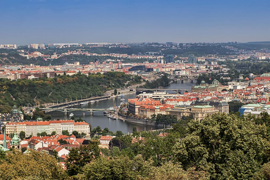 prague, czech, vltava, bridge, view, architecture, building exterior, built structure, city, plant