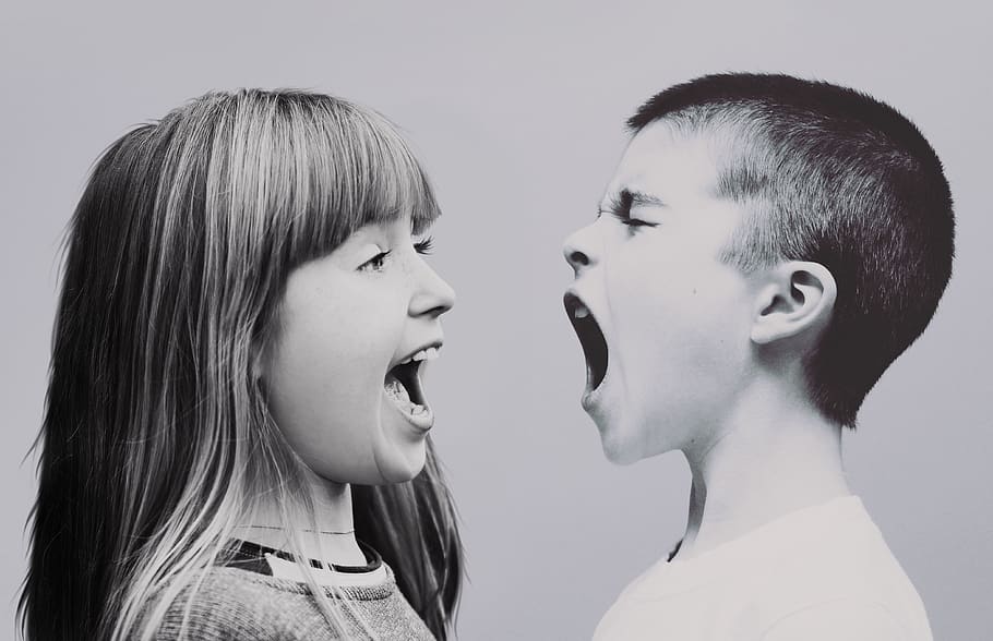 children, dispute, shouts, cry, scream, argue, trouble, rage, according to, volume