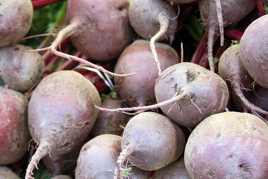 beets, beats, farmers, market, root, red, hearty, food, vegetable, organic