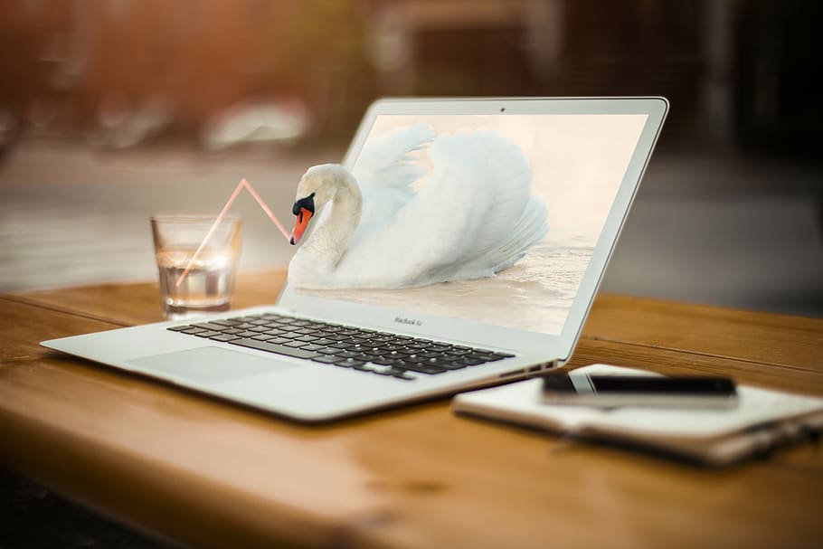 cisne, laptop, mac, água, palha, água potável de cisne, saltando para fora, virtual ao real, feliz, calma
