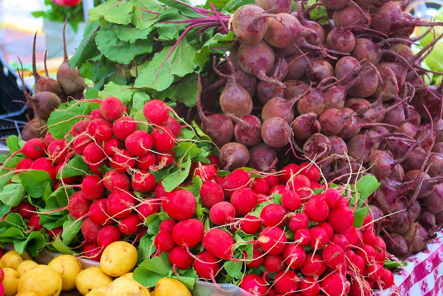 Los agricultores comercializan verduras, rábanos, cebollas, remolachas, verduras, mercado, alimentos, granja, saludable, rábano