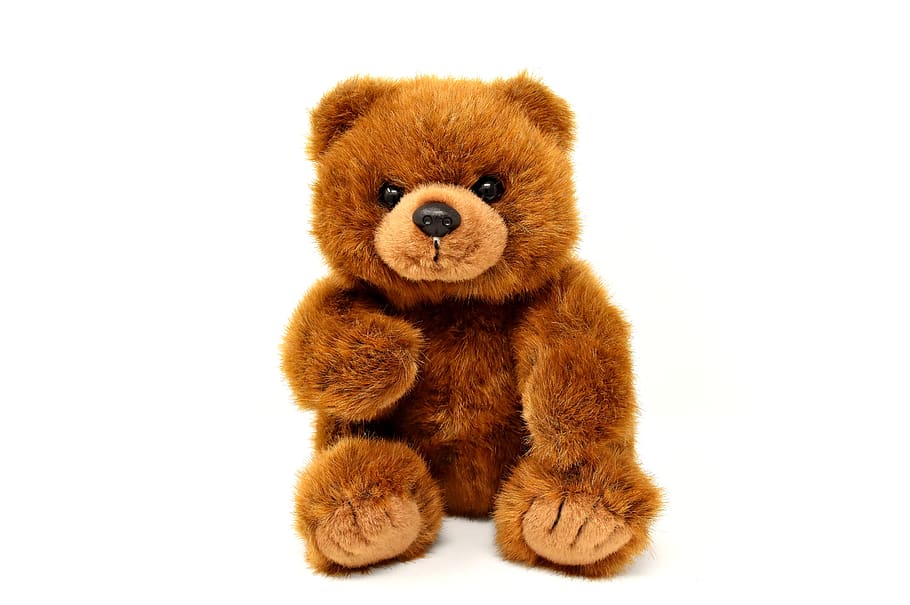 teddy, mainan lunak, boneka binatang, boneka beruang, beruang, lucu, anak-anak, mainan anak-anak, manis, hewan