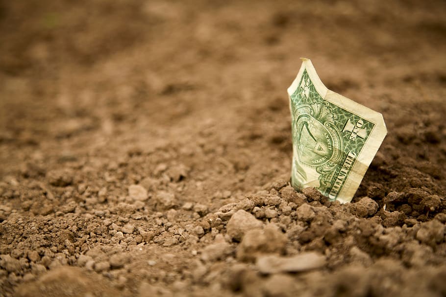 dólar estadounidense, dólar, billete de un dólar, billete de banco, tierra, básico, campo, enterrar, sequía, crecer