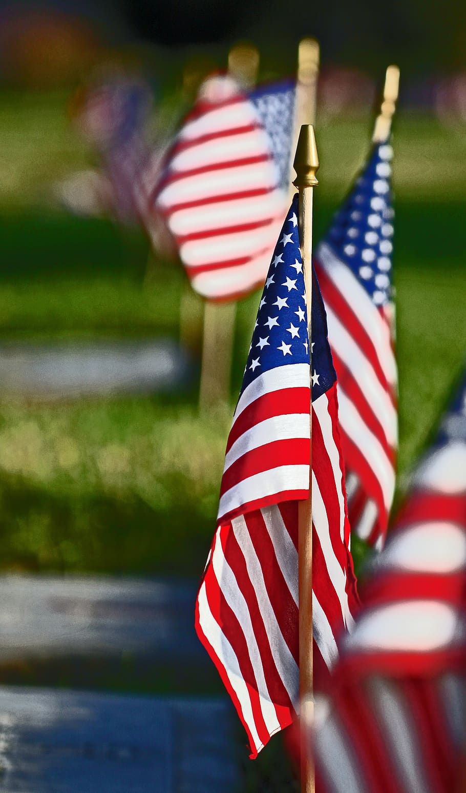 bandera, rojo blanco y azul, barras y estrellas, estados unidos, américa, patriótico, memorial, veteranos, cementerio, honor
