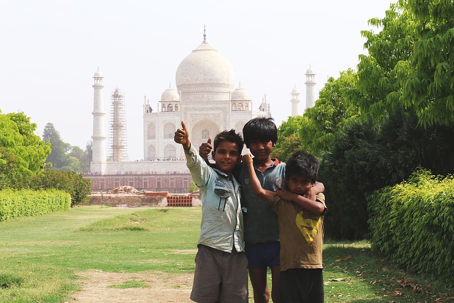 Índia Taj Mahal, vários, Índia, indiano, duas pessoas, arquitetura, construção exterior, planta, união, homens