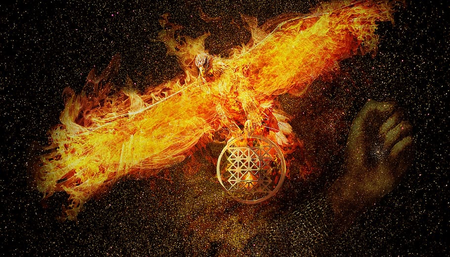 Phoenix, el poder del fuego, la energía, el espacio, color naranja, sin gente, calor - temperatura, naturaleza, movimiento, quema