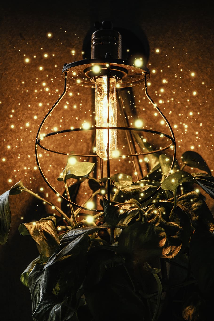 magic, moment, lamp, light, decoration, design, floral, christmas, fireflies, holiday
