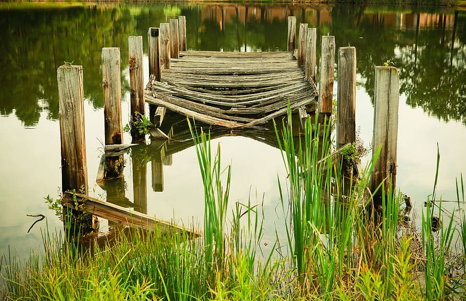 wood, bridge, logs, swamp, water, green, grass, lake, plant, reflection
