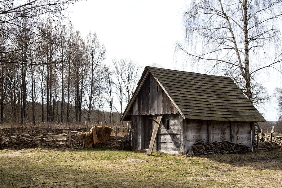 vikingagård, story, sweden, ale, building, old, vikings, the viking age, spring, built structure