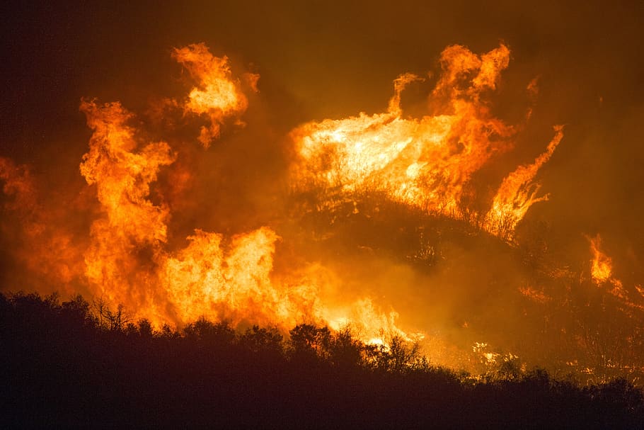 kebakaran hutan, api, kobaran api, asap, pohon, los padres, hutan nasional, panas, pembakaran, bahaya