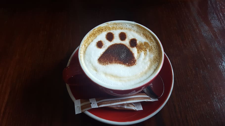 coffee, espresso, drink, cappuccino, cup, foam, paw, coffee art, chocolate, latte