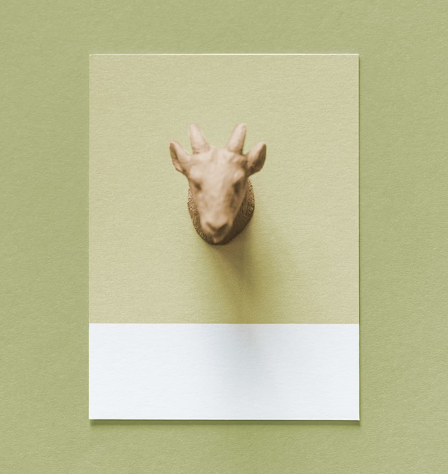 abstract, animal, art, background, beige, card, colorful, decorative, design, detail