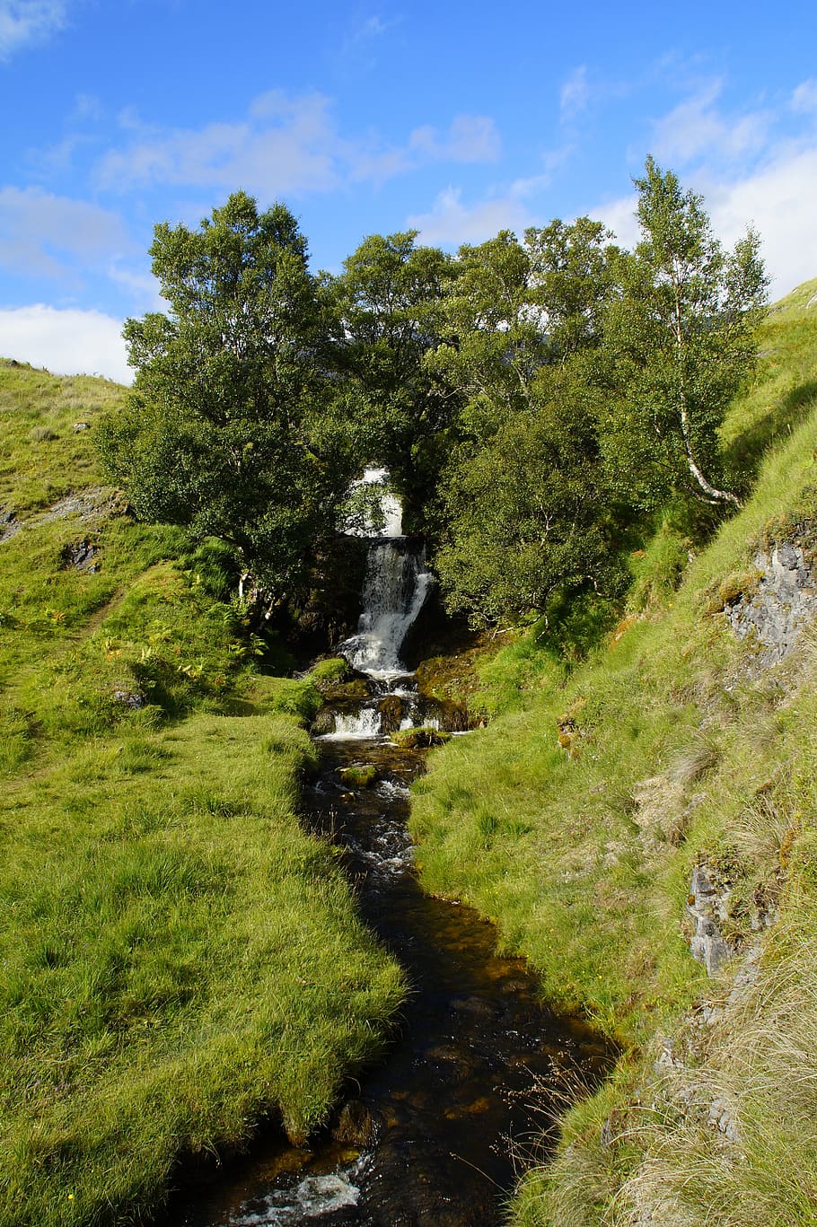 waterfall, highlands and islands, scotland, green, landscape, nature, water, summer, bach, creek