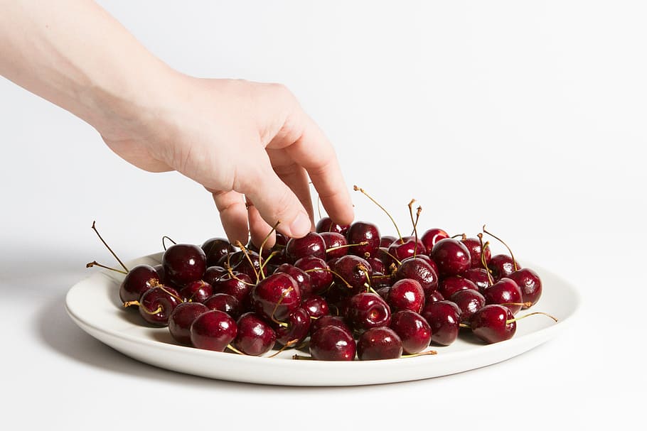 fresh cherries, food and Drink, fruit, healthy, food, human body part, hand, healthy eating, human hand, freshness