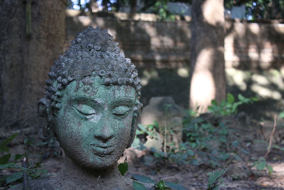 buddha, rock, old, neck, thailand, moss, statue, head, face, cool