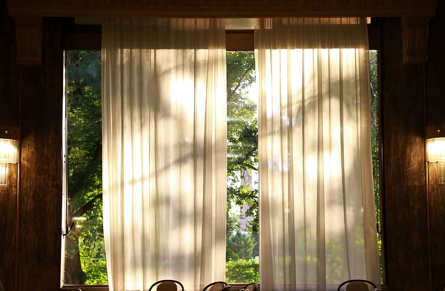 sunshine, window, peaceful, afternoon, meditation, plant, indoors, day, nature, architecture