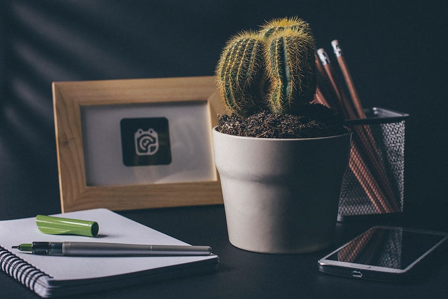 cactus, oficina, escritorio, cuaderno, bloc de notas, bolígrafos, lápiz, teléfono inteligente, móvil, teléfono celular