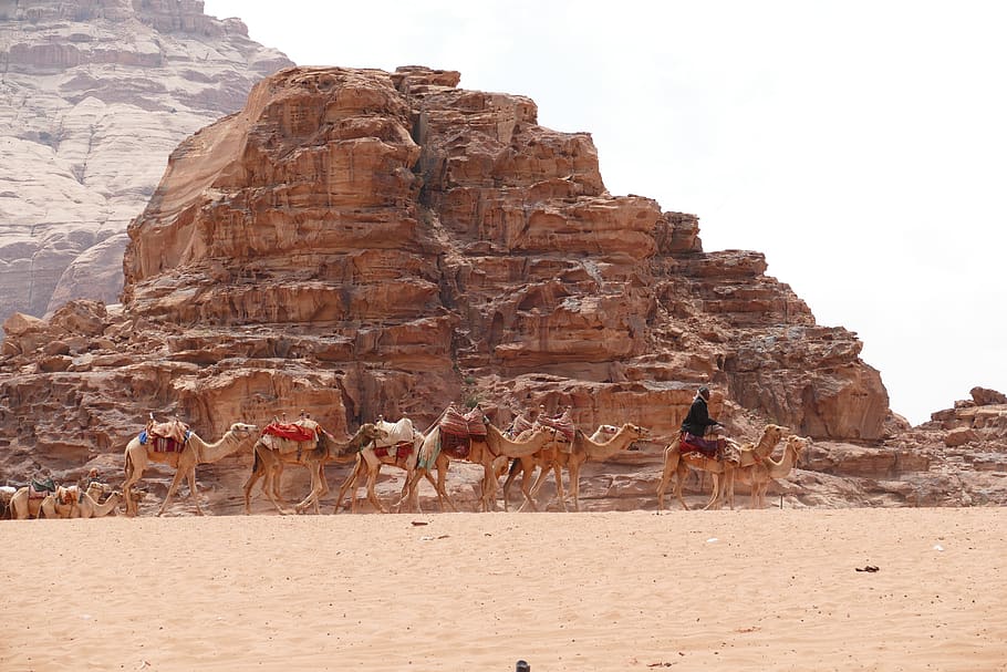 jordan, gurun, batu pasir, pasir, pemandangan, wadi, rum wadi, gunung, karavan, Badui