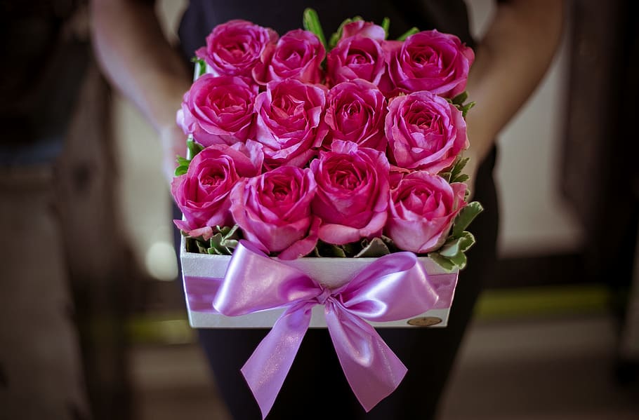 kotak, pink, mawar, bunga, romantis, cinta, wanita, hadiah, fauna, alam