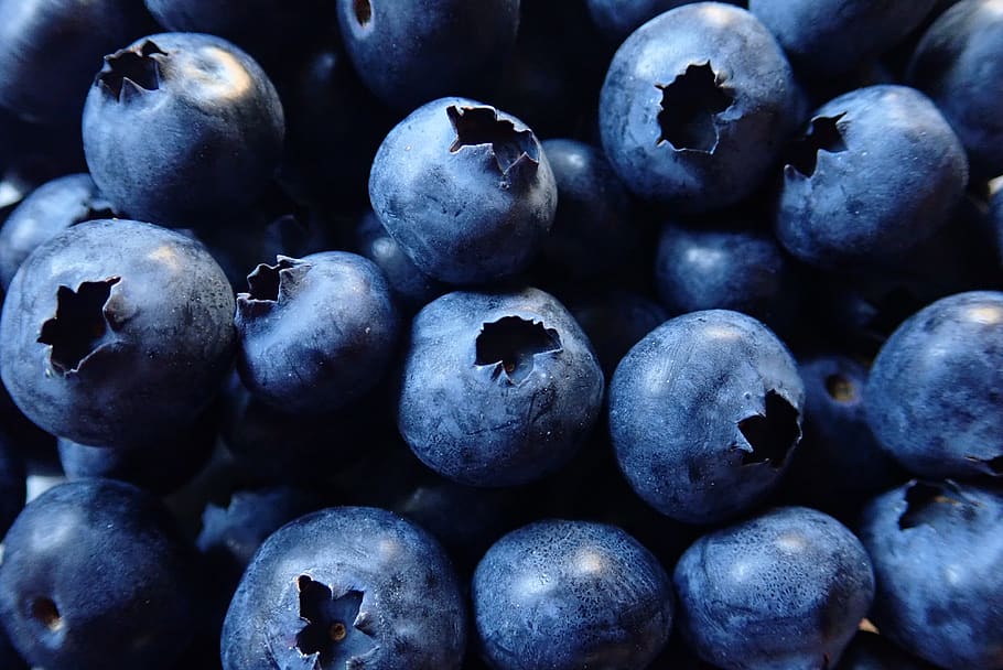 blueberries, fruit, healthy, vitamins, organic, food, food and drink, healthy eating, wellbeing, berry fruit