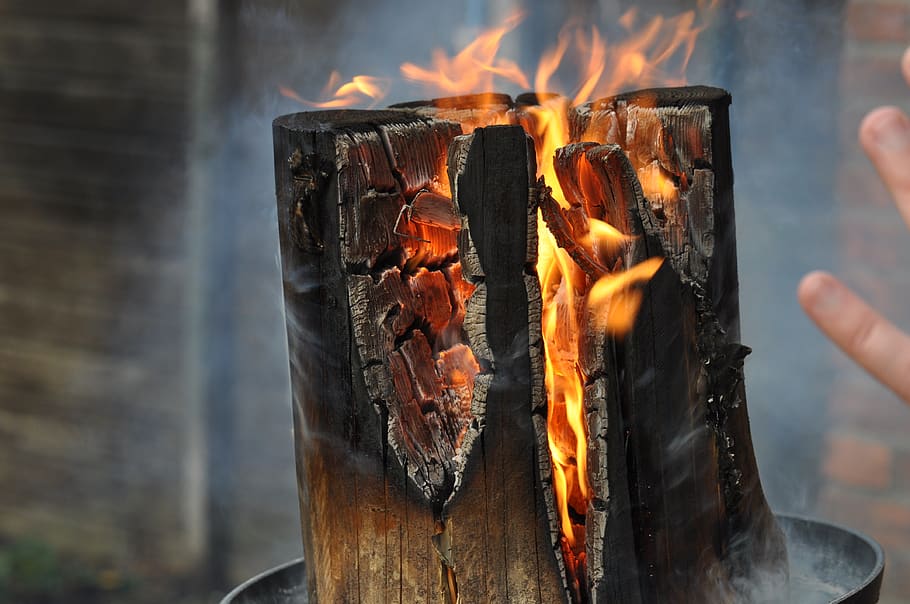 fire, heat, flame, light source, non, torch, tree, swedish, burning, fire - natural phenomenon