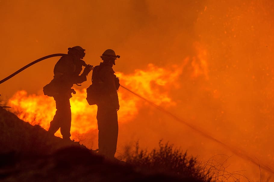 forest fire, hose, water, wildfire, blaze, silhouettes, firefighters, smoke, trees, heat