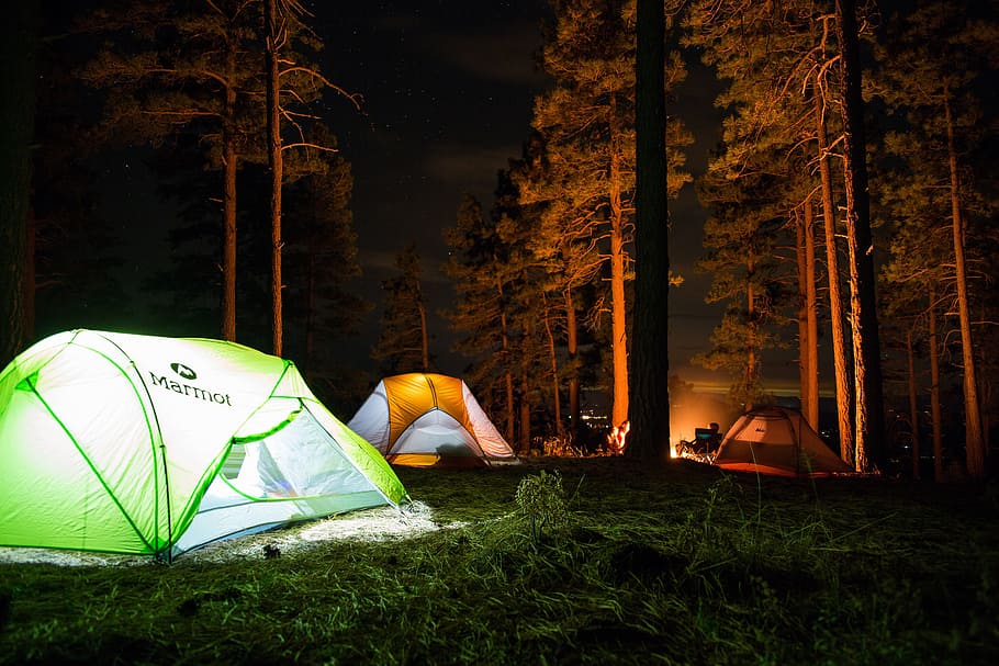 acampamento, ao ar livre, viagem, aventura, tenda, bosques, floresta, fogueira, férias, pessoas