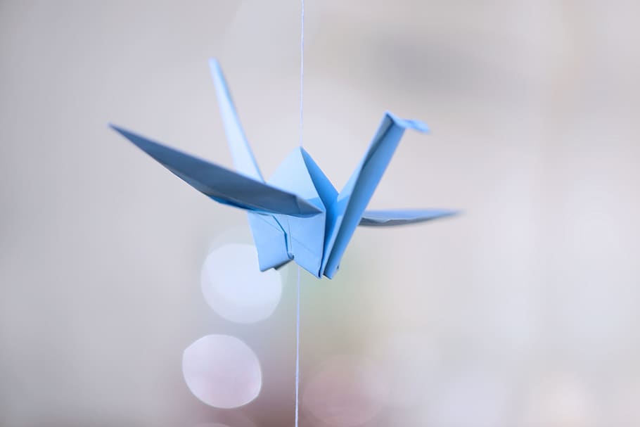 crane, origami, lipat, menggerumit, secara tradisional, kertas, jepang, biru muda, hobi, dom