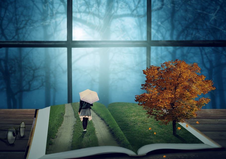 fantasy, book, tree, girl, screen, forest, window, glasses, table, mood