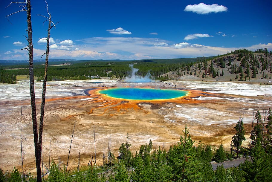 grand prismatic from overlook, thermal, spring, grand, prismatic, yellowstone, national, park, geothermal, pool