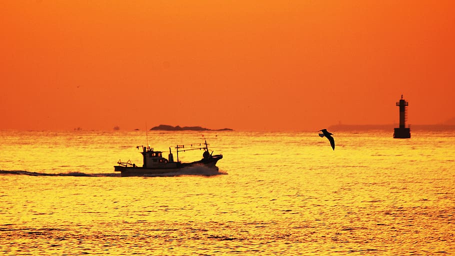 sea, sichuan airport, sunrise, fisherman, fishing, times, silhouette, korea, this type, water