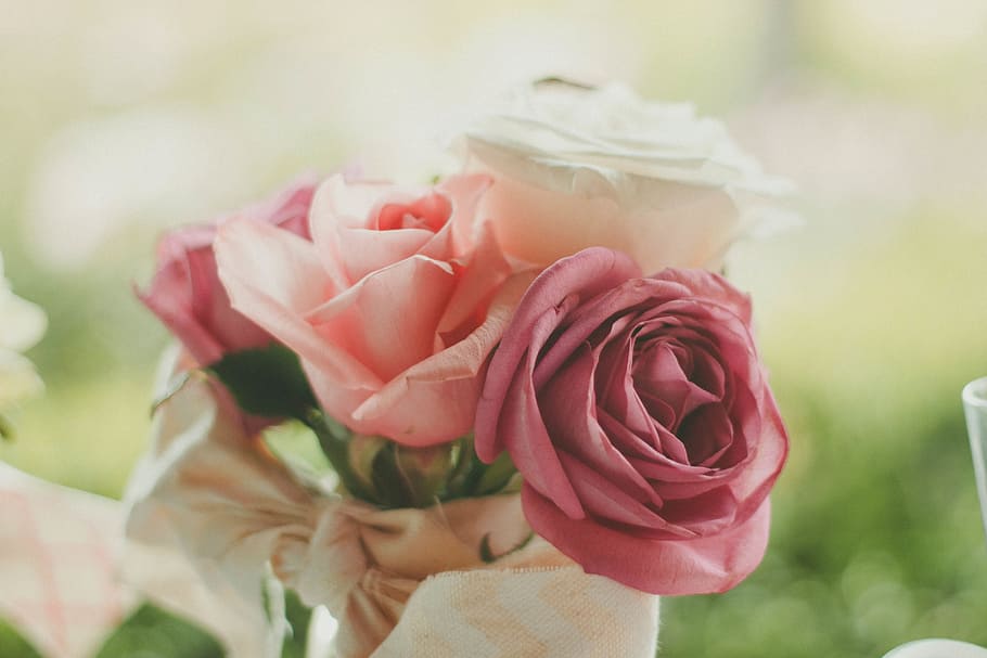 roses, flowers, bouquet, nature, flower, rose, flowering plant, rose - flower, beauty in nature, plant