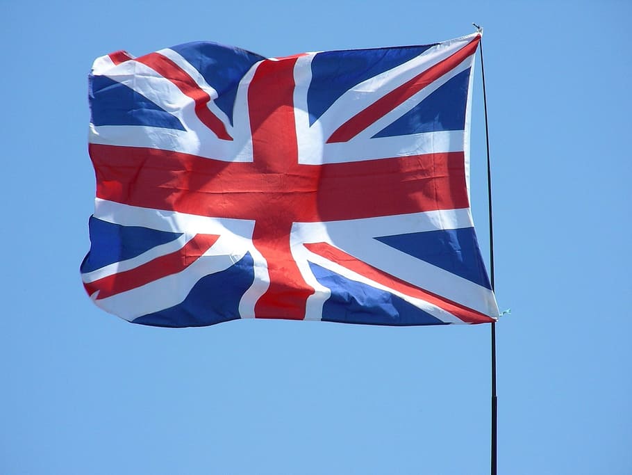 gato, unión, bandera, británico, identidad, inglaterra, patriotismo, azul, vista de ángulo bajo, rojo