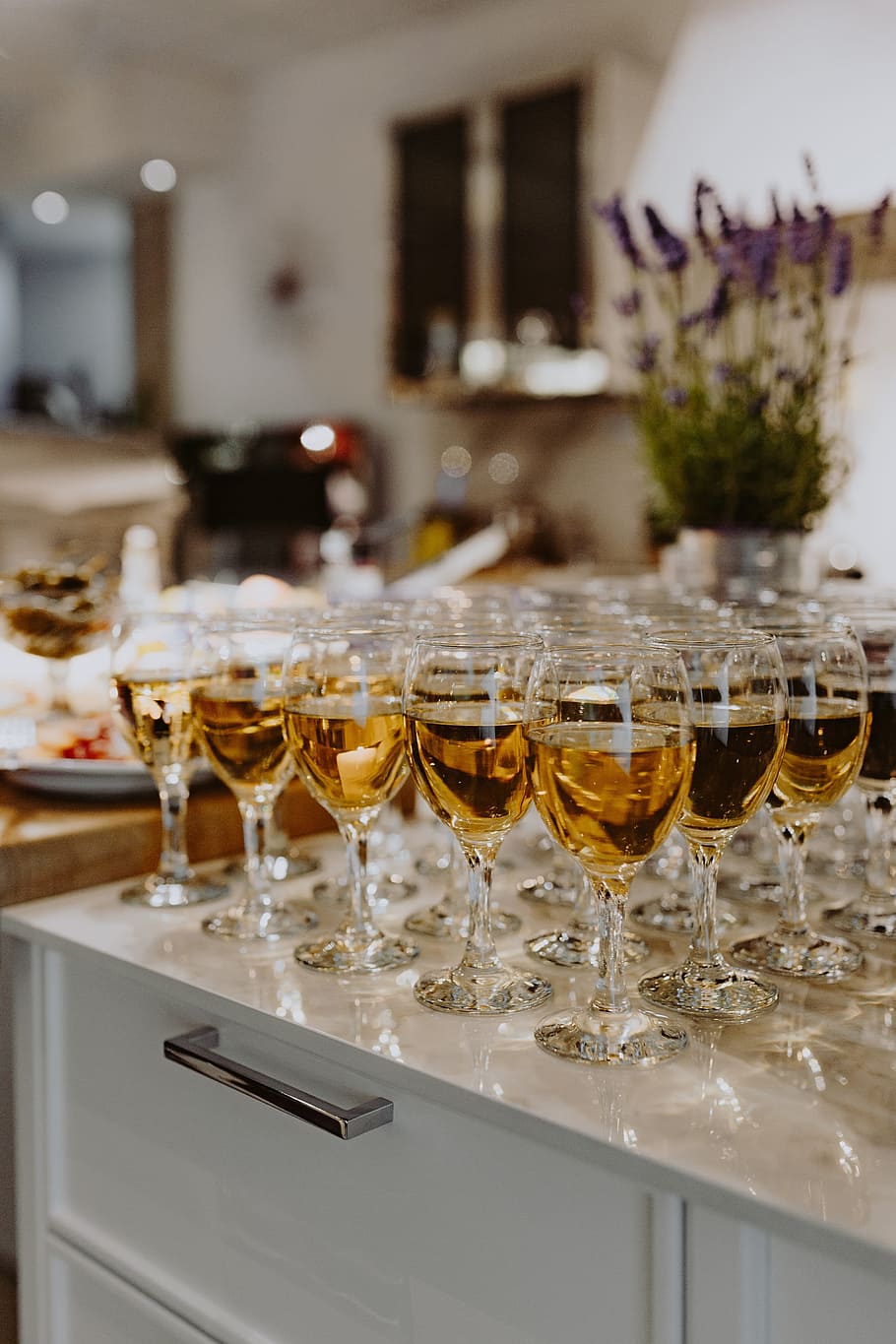 muitos, óculos, diferentes, vinho, bebida, vidro, festa, álcool, copo de vinho, celebração
