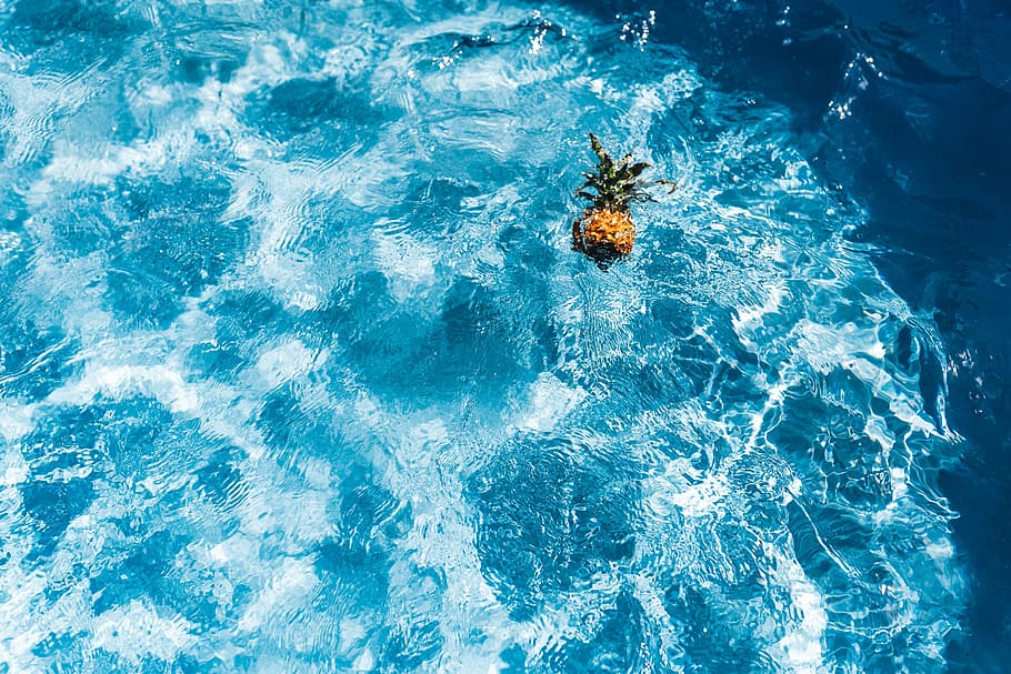 ананас, плавание, бассейн, день, лето, вода, copyspace, фрукты, отпуск, на открытом воздухе